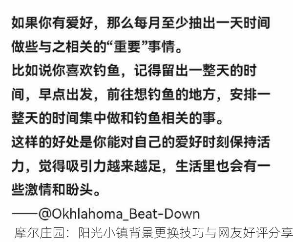 摩尔庄园：阳光小镇背景更换技巧与网友好评分享