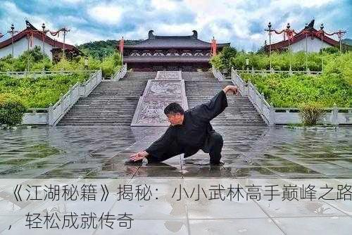 《江湖秘籍》揭秘：小小武林高手巅峰之路，轻松成就传奇