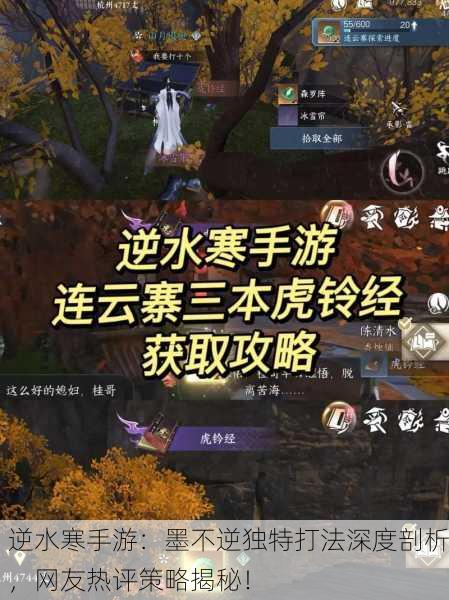 逆水寒手游：墨不逆独特打法深度剖析，网友热评策略揭秘！