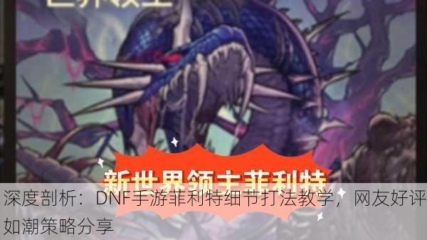 深度剖析：DNF手游菲利特细节打法教学，网友好评如潮策略分享