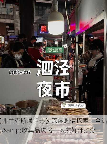 《弗兰克斯通阴影》深度剧情探索：全结局&收集品攻略，网友好评如潮！