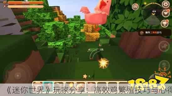 《迷你世界》玩家分享：高效鸡繁殖技巧与心得