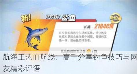 航海王热血航线：高手分享钓鱼技巧与网友精彩评语