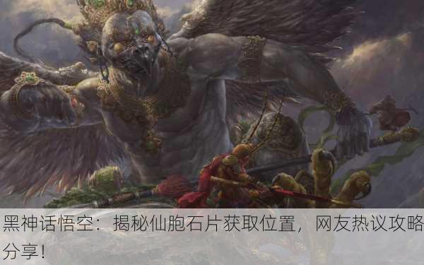 黑神话悟空：揭秘仙胞石片获取位置，网友热议攻略分享！