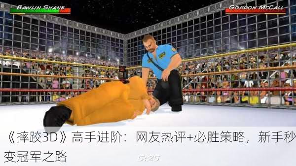 《摔跤3D》高手进阶：网友热评+必胜策略，新手秒变冠军之路