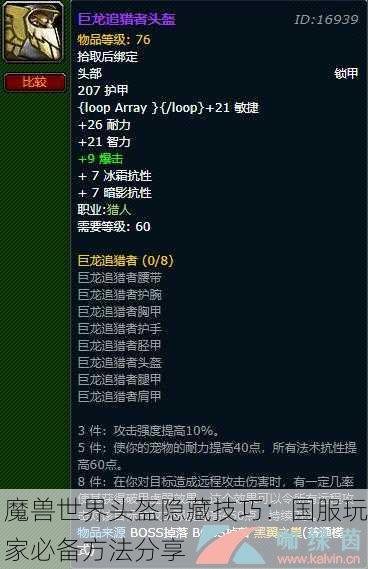 魔兽世界头盔隐藏技巧：国服玩家必备方法分享