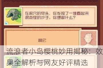 流浪者小岛樱桃妙用揭秘：效果全解析与网友好评精选