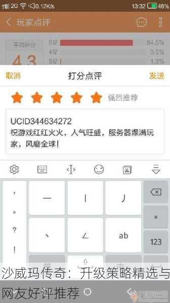 沙威玛传奇：升级策略精选与网友好评推荐