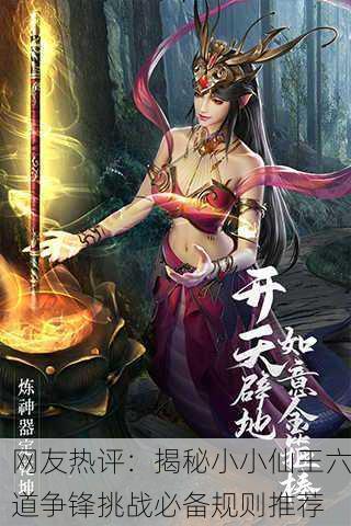 网友热评：揭秘小小仙王六道争锋挑战必备规则推荐