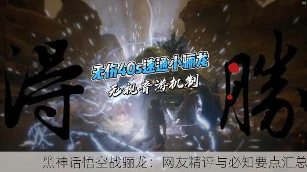 黑神话悟空战骊龙：网友精评与必知要点汇总