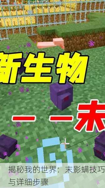 揭秘我的世界：末影螨技巧与详细步骤