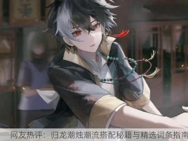 网友热评：归龙潮烛潮流搭配秘籍与精选词条指南